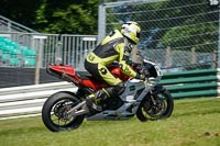 Advanced Group White Bikes